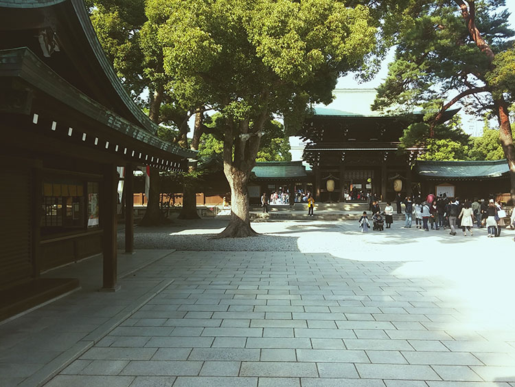 Japan Trip