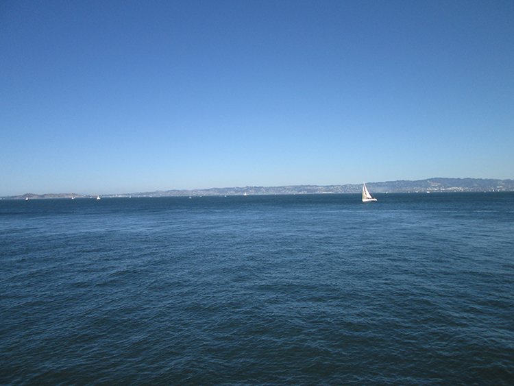 The Romance of San Francisco, 2014