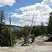 Yellowstone