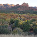 Arizona
