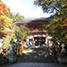 Japan Trip