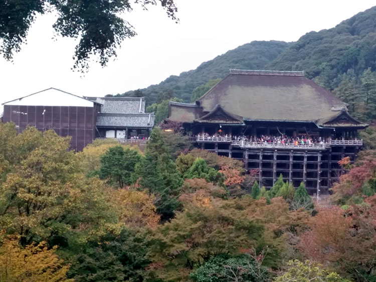 Japan Trip