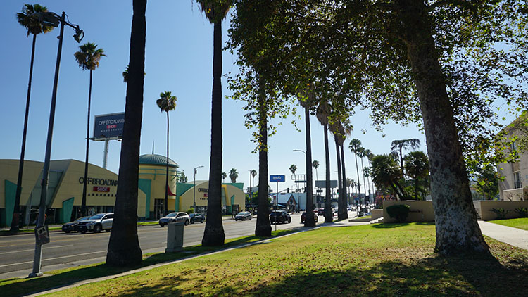 City of Angels 2018