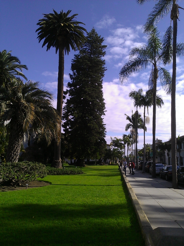 Melody of Santa Barbara