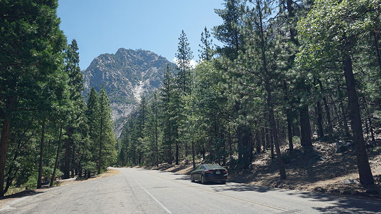 The Breath of Ancient Giants